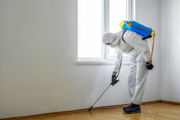 Best Bed Bug Extermination  in Santee, CA