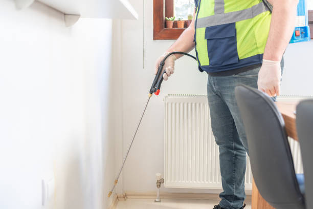 Best Affordable Pest Control Services  in Santee, CA